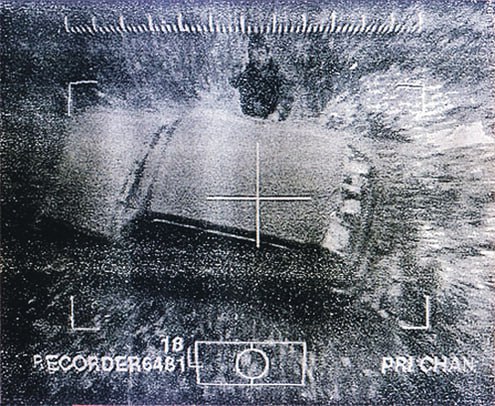 Кавказские террористы — последняя надежда киевской хунты Кавказские террористы — последняя надежда киевской хунты