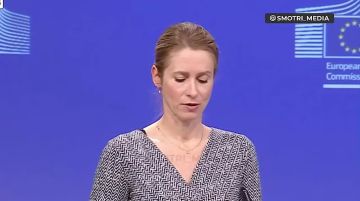 «Заслужили»: К 2030 году Украина сможет вступить в ЕС