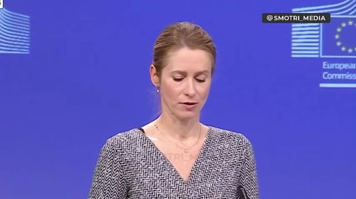 «Заслужили»: К 2030 году Украина сможет вступить в ЕС