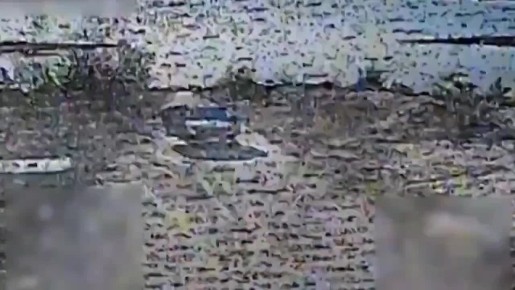  :          ,          ,     