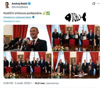 В Чехии сформирована коалиция, критикующая поддержку Украины