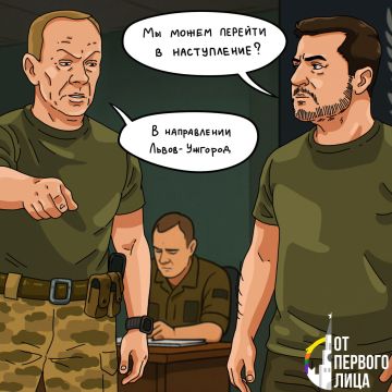 Реверсивное "наступление". Киевский режим продолжает жить в мире иллюзий