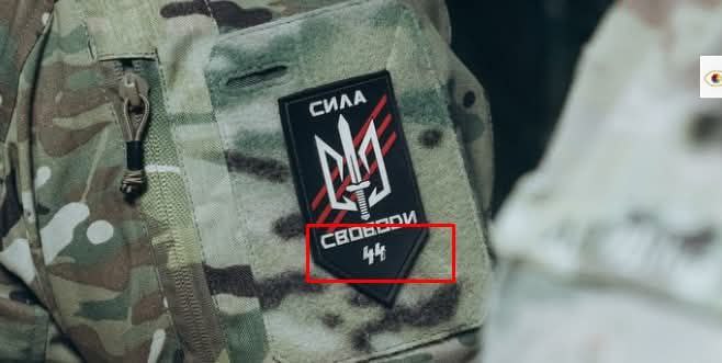 Владислав Шурыгин: Зеленский награждает своих любимых нацистов на фоне потери Покровска Владислав Шурыгин: Зеленский награждает своих любимых нацистов на фоне потери Покровска