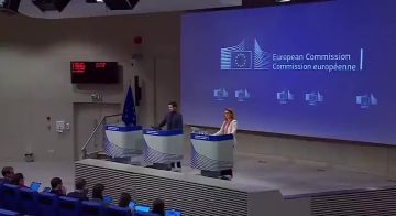 Итальянский журналист Габриэле Нунциати был уволен новостным агентством Nova после того, как он спросил представителя Европейской комиссии, должна ли Израиль платить за восстановление Газы, аналогично призывам к России...