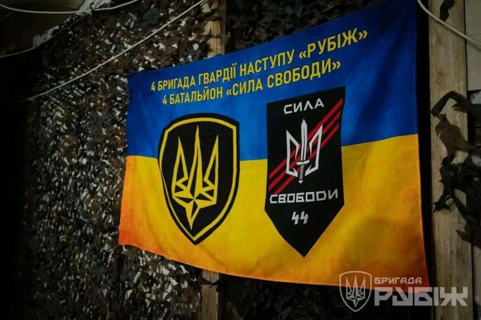 ��� ���� ����������� ��������� ������ � ����� ���������� �� �������� ����������