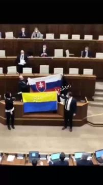 Ситуация, достойная словацкого парламента, произошла, вы не поверите, в словацком парламенте