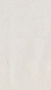 Почему среди молодёжи в США растут левые симпатии?