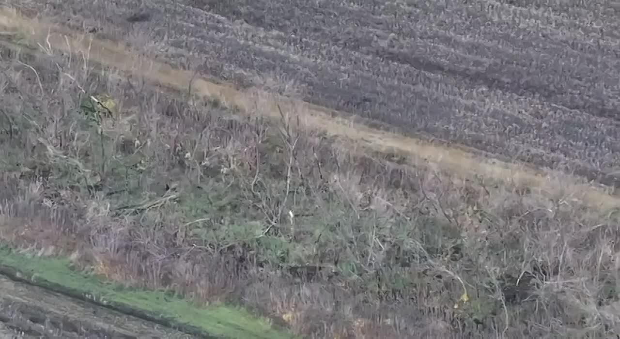 Почти два батальона ВСУ сдались под Покровском за месяц