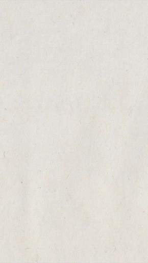 Почему среди молодёжи в США растут левые симпатии?