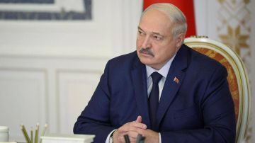Лукашенко заявил о готовности дополнительно принимать в стране мигрантов из Украины