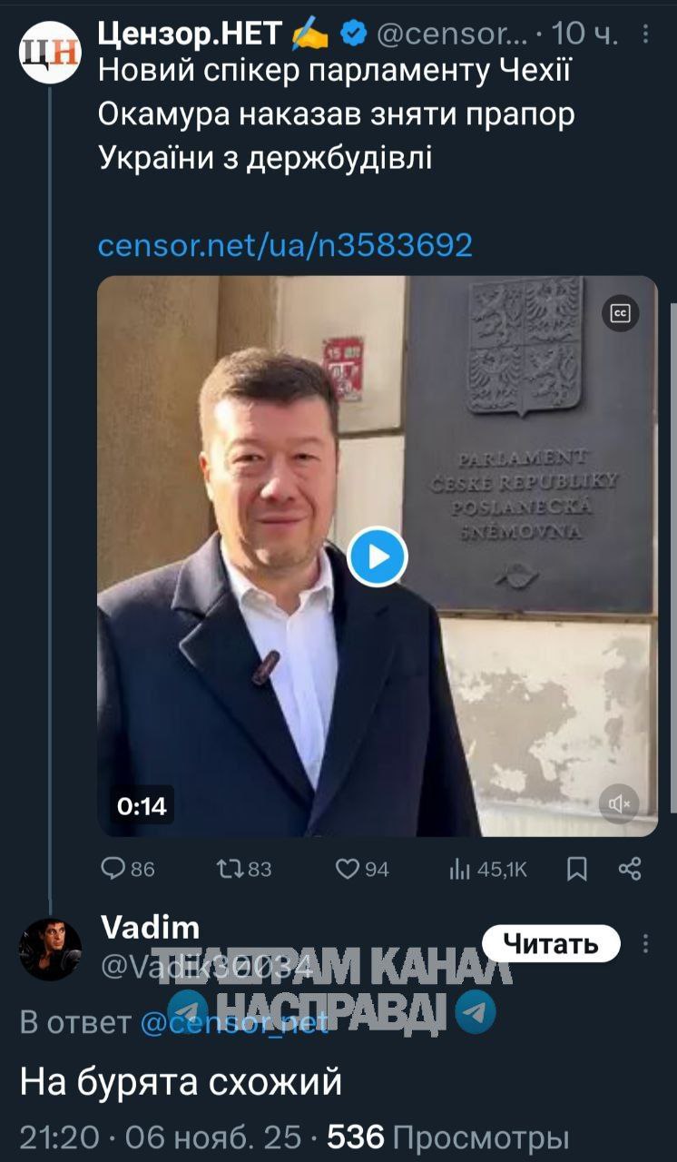 С парламента Чехии сняли флаг Украины по требованию спикера