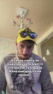 Пособие от Зеленского -. Это шутка, по привычке? Или он серьезно