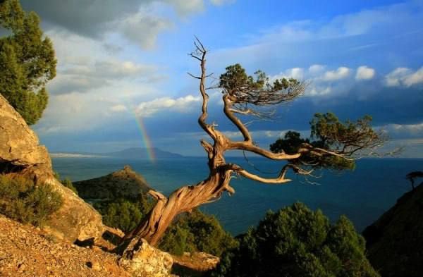 ��������� ���: �������� ����:. ��������� ��������� ���