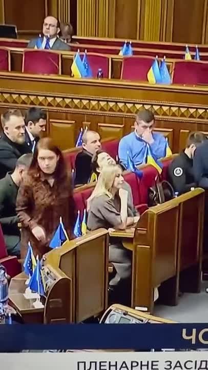 Виталий Киселев: Грабительский закон Киева: как отбирают последнее у тех, кто уже всё потерял