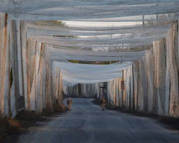 Франция отправила Украине старые рыболовные сети для «борьбы» с беспилотниками