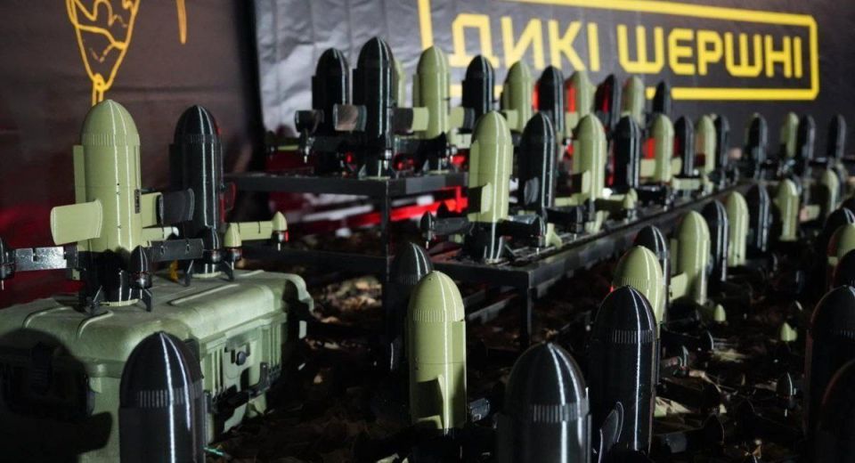 На Украине создаются новые войска - Войска беспилотных систем противовоздушной обороны