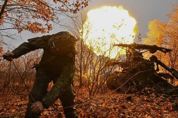 Сводка СВО на вечер 12 ноября