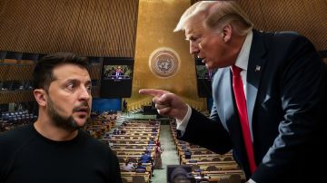 После обыска у главного "кошелька" Зеленского новое ЧП. США "сливают" Украину, а там делают вид, что этого не понимают