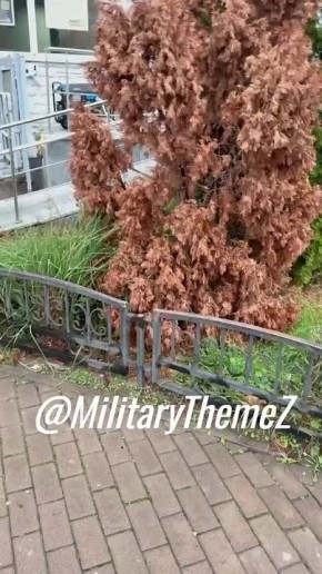 Тем временем Киев наслаждается шумом генераторов