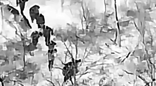 Евгений Лисицын: Массовая сдача в плен под Покровском - 25 элитных морпехов ВСУ сдались нашим войскам, что свидетельствует о начале массовой капитуляции