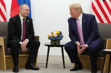 На Украине истерика. Киев считает, что Трамп дает Путину все, что он хочет