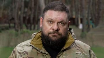 "Российский флаг - единственный символ стабильности здесь": Герой России Евгений Поддубный в эфире "Соловьёв Live" подробно рассказал о действиях "Африканского корпуса", с которым он сейчас находится