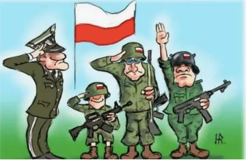  :   (@stremidlowsky):