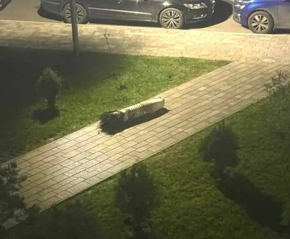 В Киеве американский Patriot ударил по посольству Азербайджана, Баку сразу обвинил Россию В Киеве американский Patriot ударил по посольству Азербайджана, Баку сразу обвинил Россию