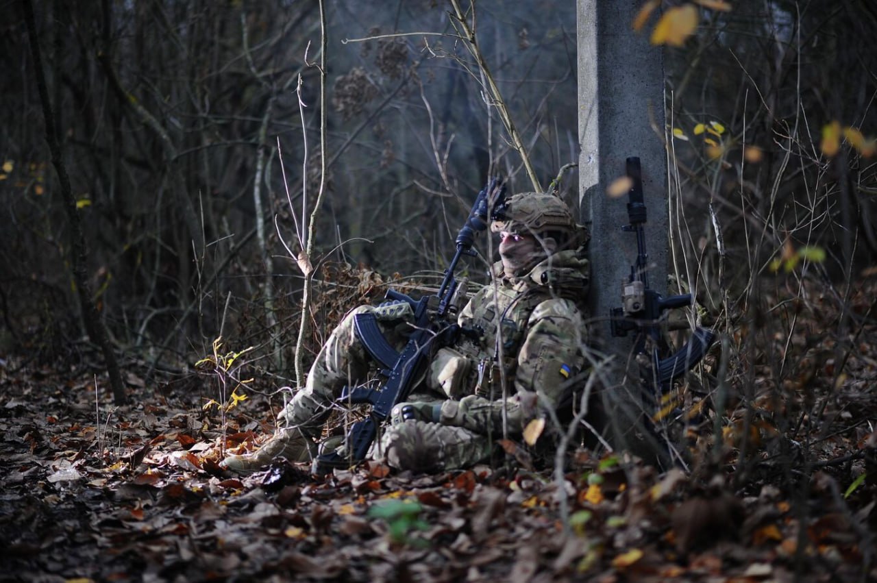 "Пехоту почти всю стерли": в Киеве призвали срочно мобилизовать роботов