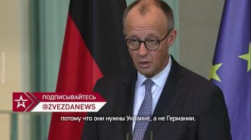 "Они нужны Украине, а не Германии", — Мерц попросил Зеленского сделать так, чтобы украинцы оставались у себя в стране