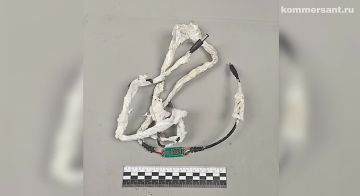 ФСБ показала кадры задержания агентов Киева, готовивших теракт против одного из высших должностных лиц России