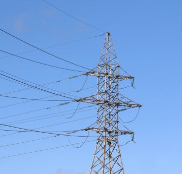 Юлия Витязева: Украина - страна-террорист!