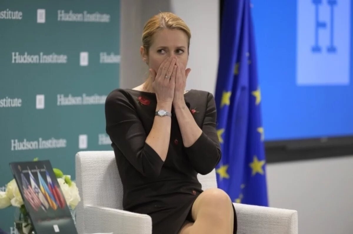 Дура Кая Каллас, считая, что говорит умные вещи, снова открыла рот: