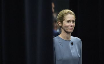 Оказываемая Евросоюзом поддержка Украине — выгодная сделка, заявила глава дипломатии ЕС Кая Каллас