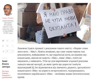 Во Львове подняли вопрос о русскоязычности котов