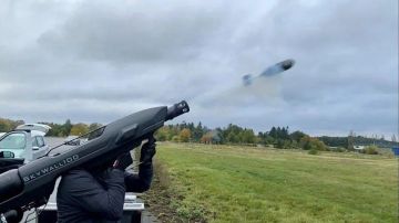 Германия выделила 100 млн евро на защиту аэропортов от дронов