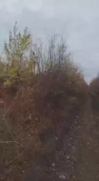 Юрий Котенок: Боевые действия в промзоне Покровска (Красноармейска)