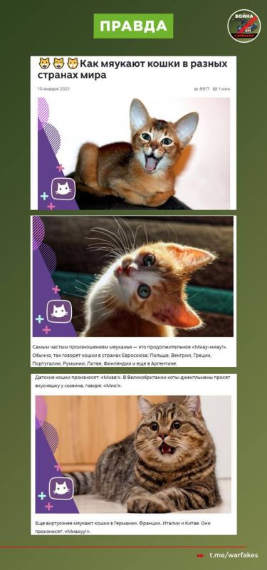 ����: ������� ���� �������� ����, ��������� �������� ������� � �������� �����