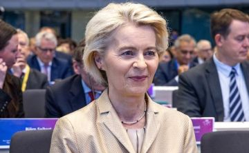 Глава Еврокомиссии Урсула фон дер Ляйен направила письмо странам Евросоюза с тремя предложениями по финансовой помощи Украине на €135,7 млрд, сообщают Financial Times и Reuters, изучив конфиденциальный документ
