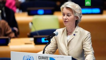 Урсула фон дер Ляйен направила странам ЕС письмо с планом экспроприации активов России, сообщает Reuters со ссылкой на документ