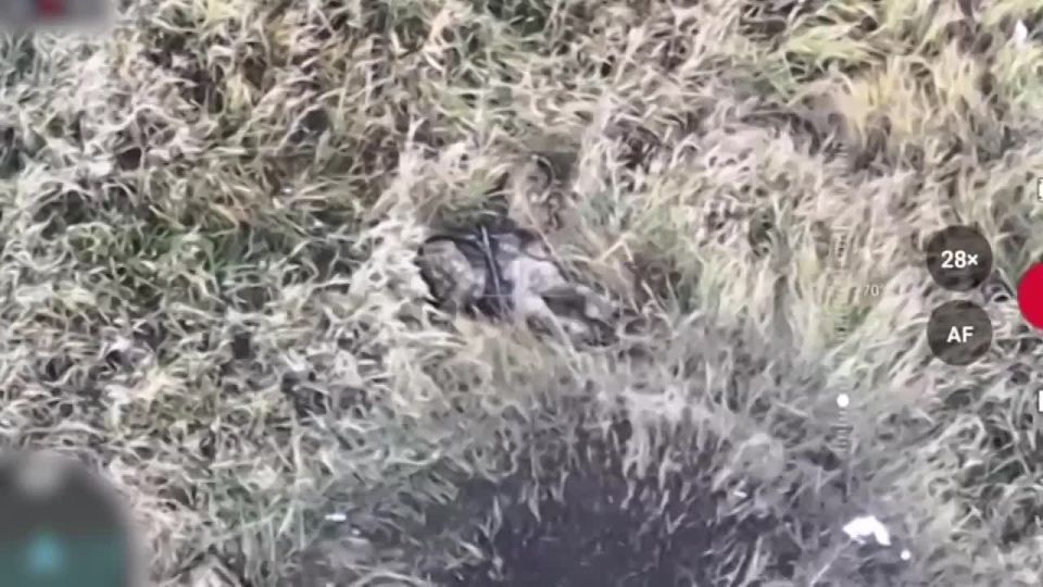 Александр Коц: Как «Гоша» и Саша ГУРовский десант в Покровске покрошили