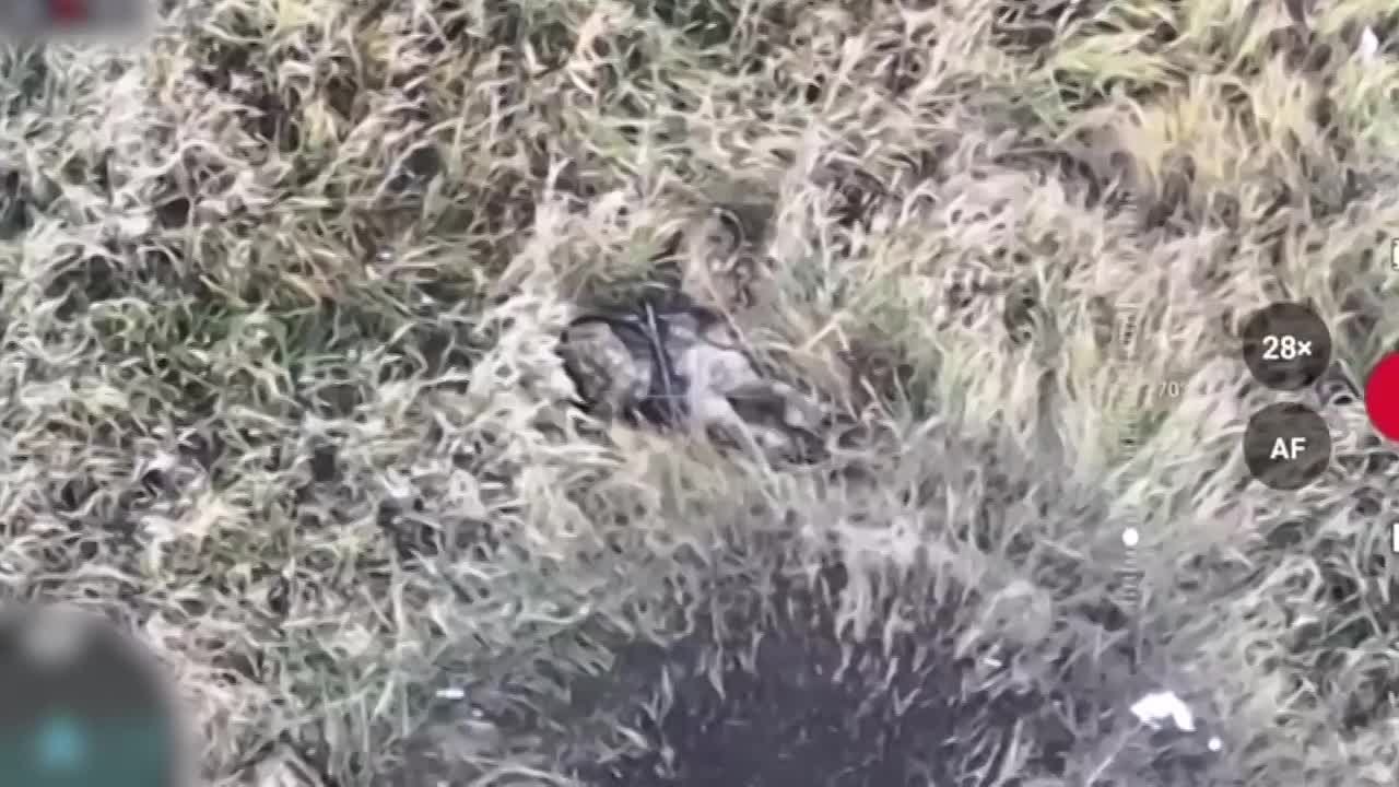 Александр Коц: Как «Гоша» и Саша ГУРовский десант в Покровске покрошили