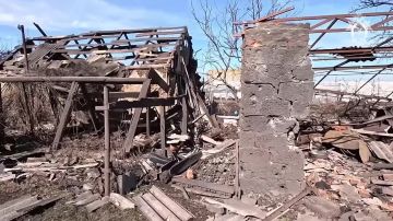 Украинский военнослужащий приговорен к длительному сроку лишения свободы