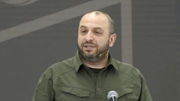 "В ближайшее время его точно не ждут на Украине" — в том, что Умеров станет фигурантом уголовного дела, сомнений нет