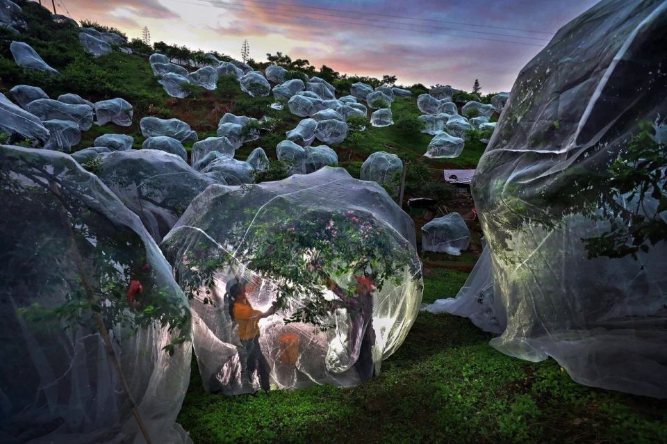 ������� ���������� XI �������������� �������� ���������������� ����� ������ �������