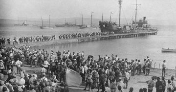 Юрий Подоляка: О размещении частей ВСУ в Европе: а ведь все это уже было