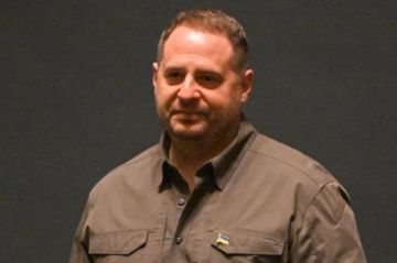 Окружение Зеленского советует ему уволить Ермака на фоне коррупционного скандала