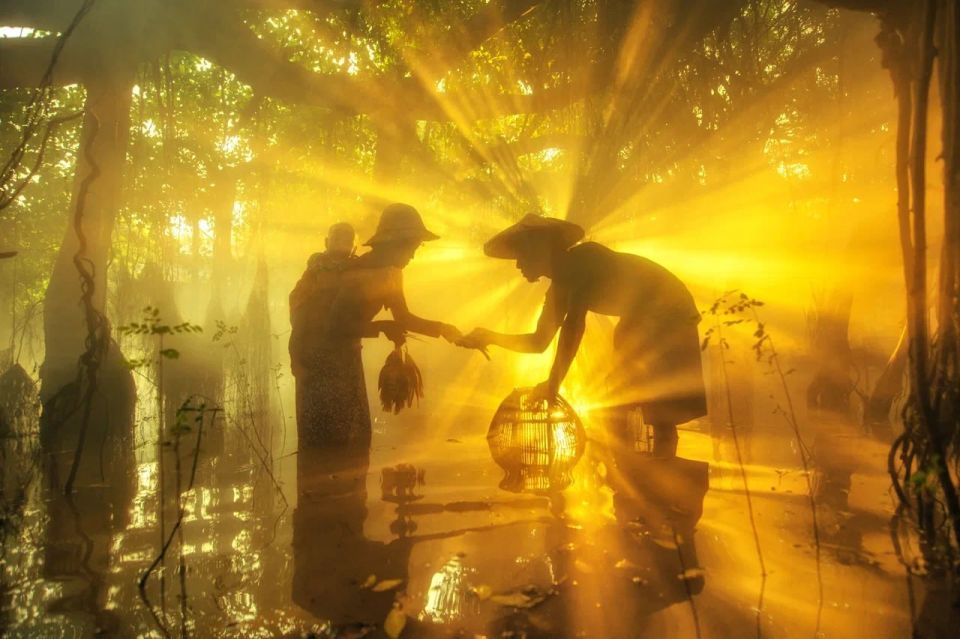 ������� ���������� XI �������������� �������� ���������������� ����� ������ �������