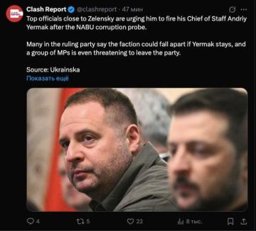 Разбойники требуют немедленно убрать Али-Бабу