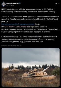 Главе МИД Эстонии дали слово в конгрессе